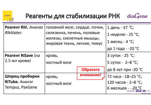 Всё необходимое для ПЦР и агарозного гель-электрофореза: современный взгляд на практику молекулярной биологии
