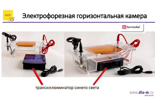 Всё необходимое для ПЦР и агарозного гель-электрофореза: современный взгляд на практику молекулярной биологии
