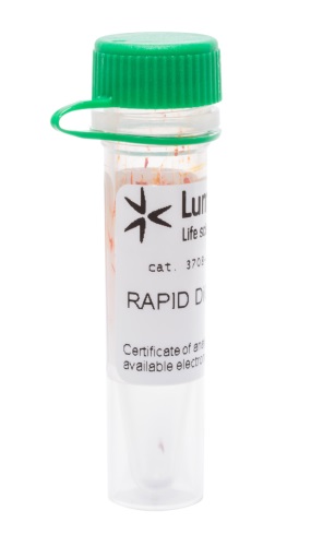 Краситель флуоресцентный RAPID DiO, липофильный, для мечения мембран и трассировки клеток, 5 мкг, Lumiprobe