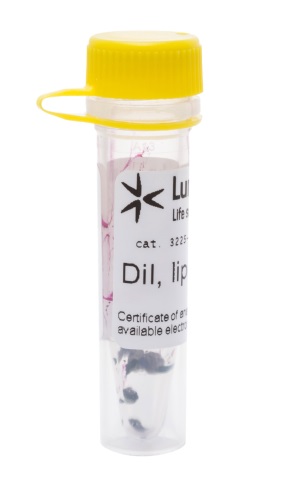 Краситель флуоресцентный Dil, липофильный, для мечения мембран и трассировки клеток, 25 мг, Lumiprobe