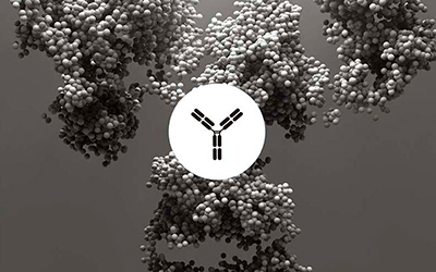 Откройте клетку во всем её свете!