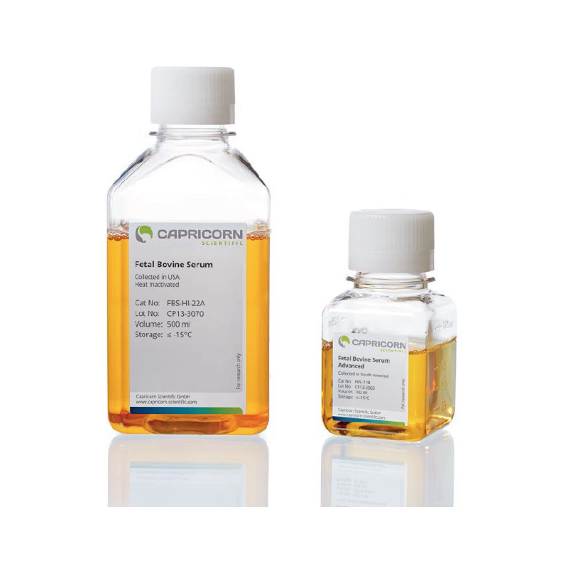 сыворотка эмбриональная телячья