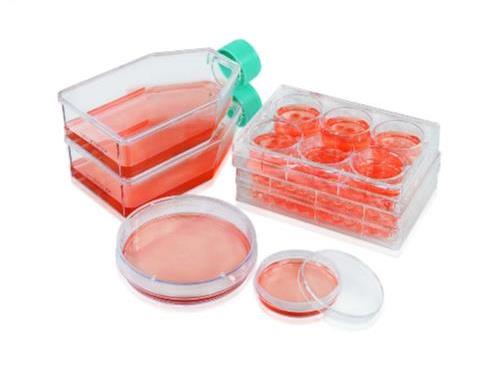 Чашки культуральные 60 мм с низкой адгезией, 3DSphearo, 5 уп./80 шт., Jet Biofil