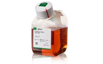 Сыворотка эмбриональная бычья (FBS) value, Gibco
