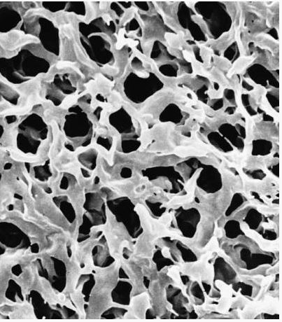Мембрана, d пор 0,45 мкм, d мембраны 25 мм, поливинилиденфторид (PVDF), гидрофильная, нестерильная, 100 шт