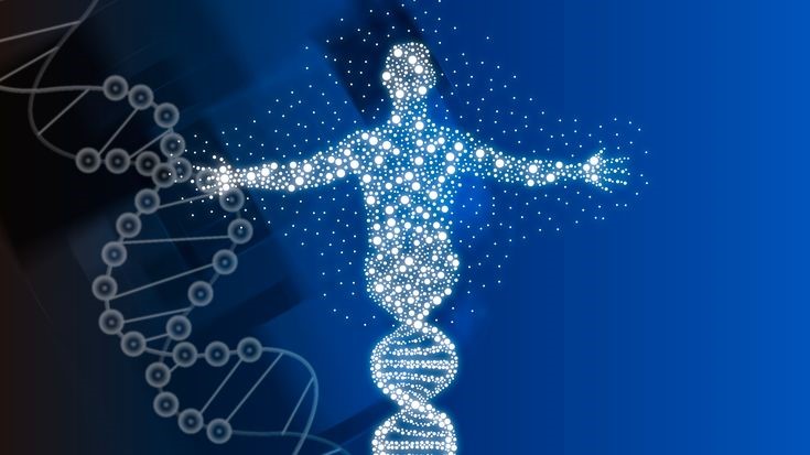 ДНК Шредингера