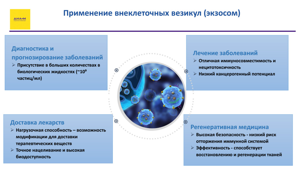 Введение