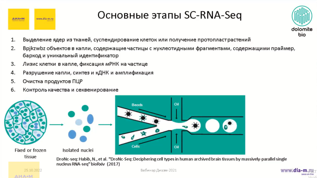 Основные этапы SC-RNA-Seq