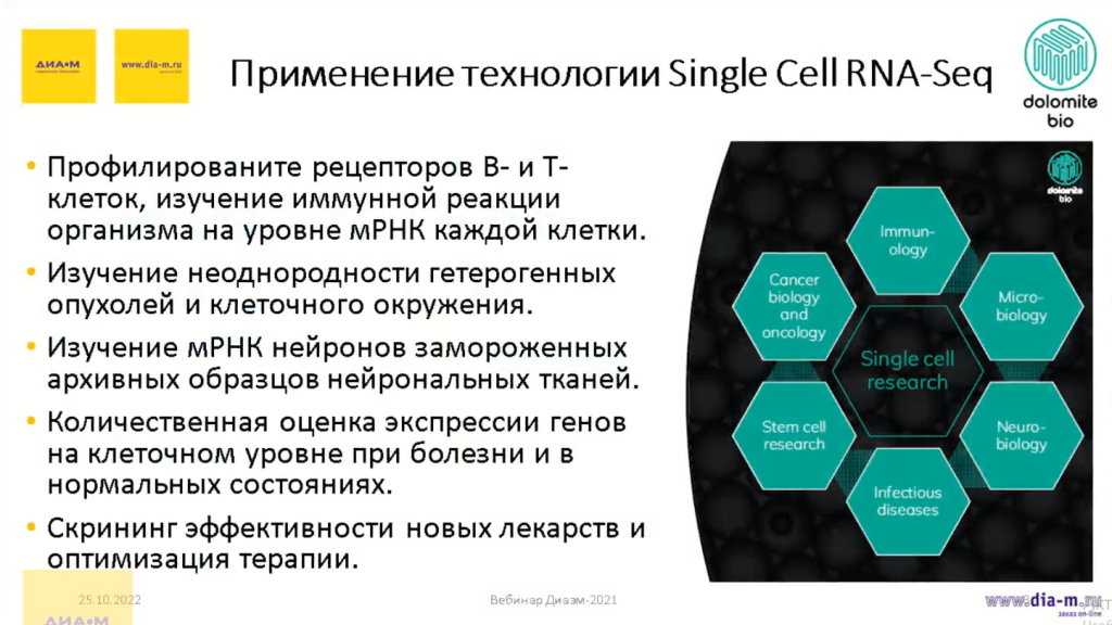 Применение технологии Single Cell Rna-Seq