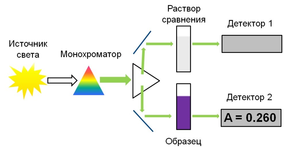 dvuhluchevaya-skhema.jpg