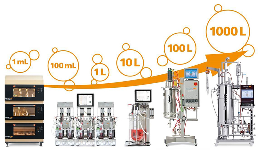 Лабораторный штамм, отлично растущий в колбе, часто «ломается» уже на первом этапе масштабирования — при переходе к контролируемому культивированию.