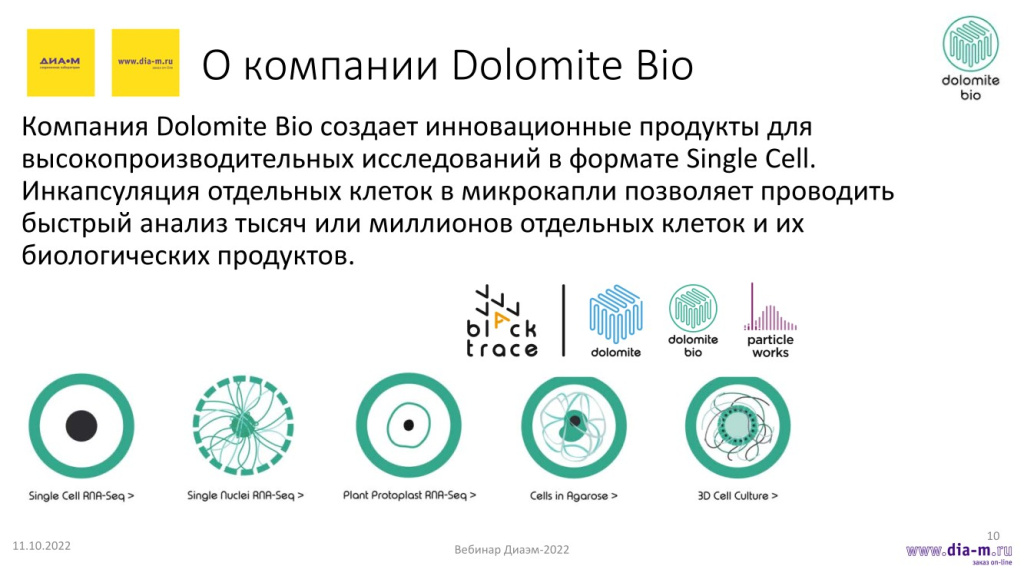 О компании Dolomite Bio