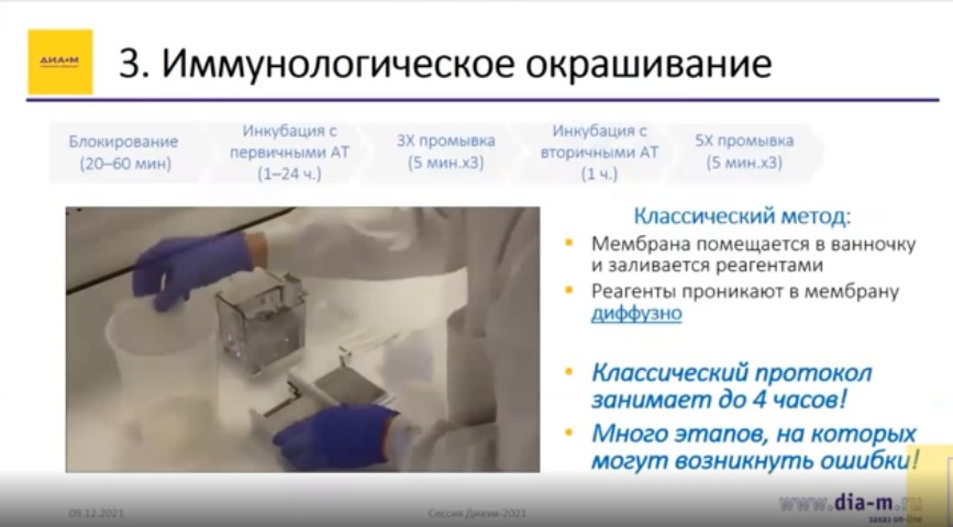 Иммунологическое окрашивание