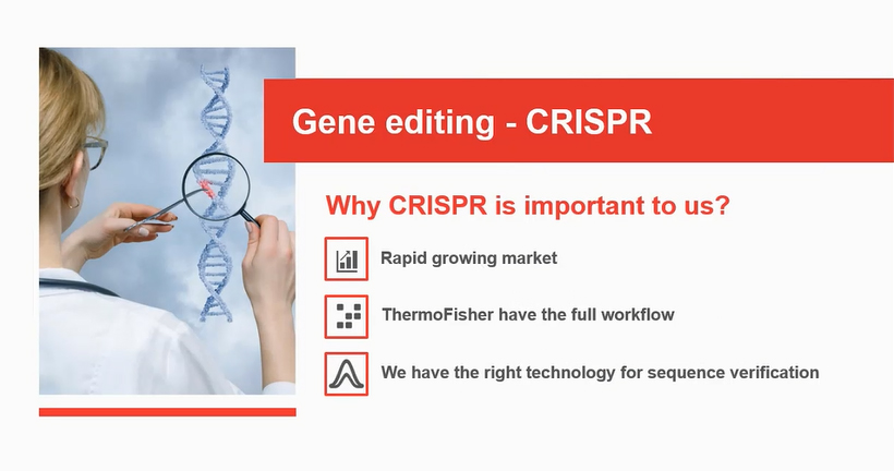 Капиллярное секвенирование и фрагментный анализ в редактировании генома