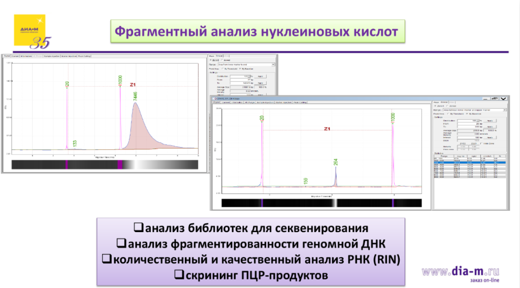 Фрагментный анализ нуклеиновых кислот