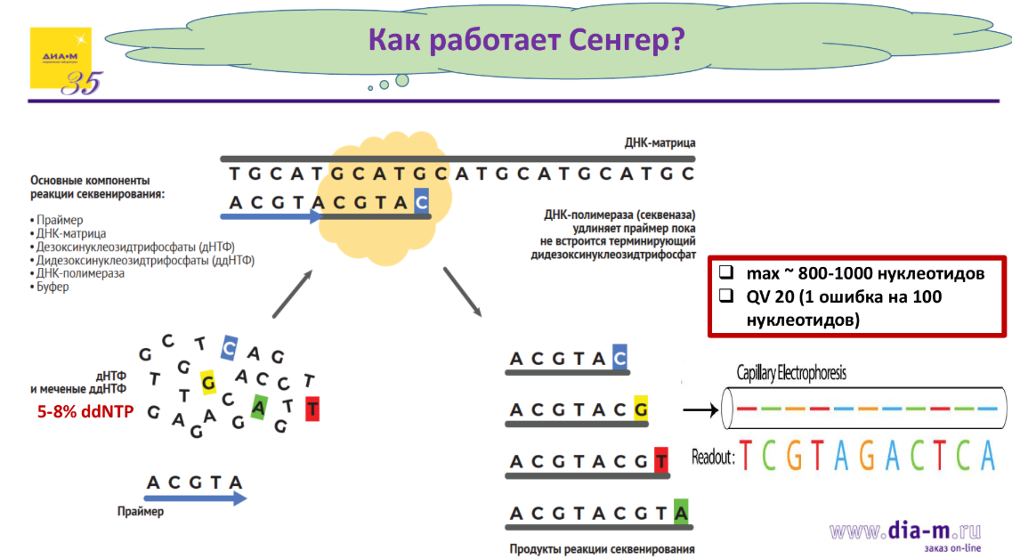 Основы метода Сенгера: как это работает