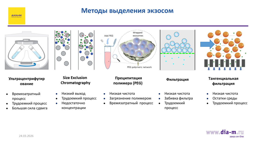 Основные методы выделения экзосом