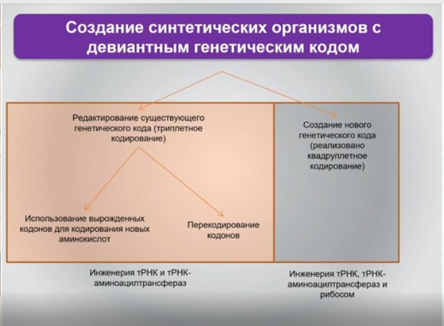 создание синтетических организмов с девиантным генетическим кодом