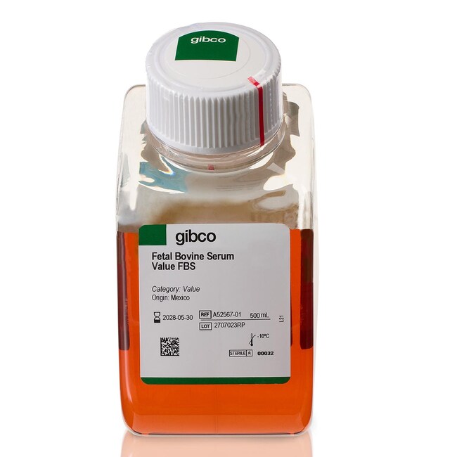 Сыворотка эмбриональная бычья (FBS) value, Gibco, Thermo FS