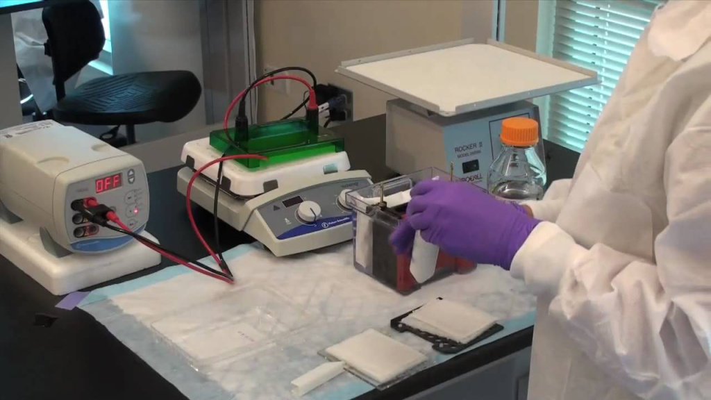 Блоттинг: как сделать рутинный блоттинг проще? 