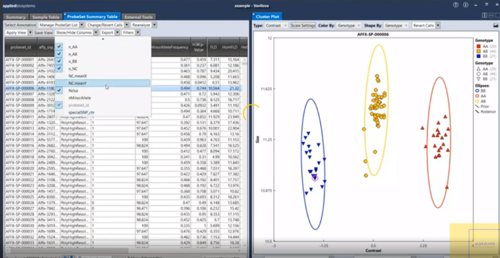 Рабочее пространство программы Axiom Suite Analysis