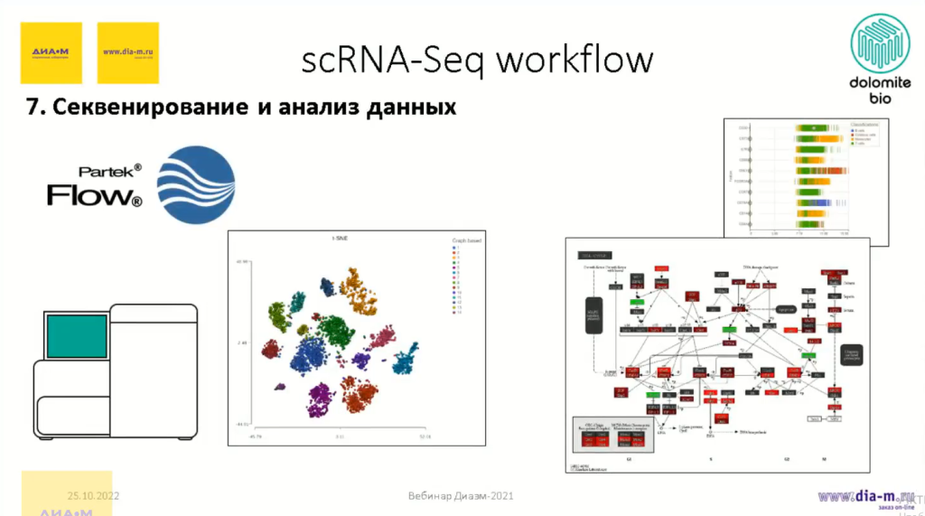 scRna-Seq workflow-6