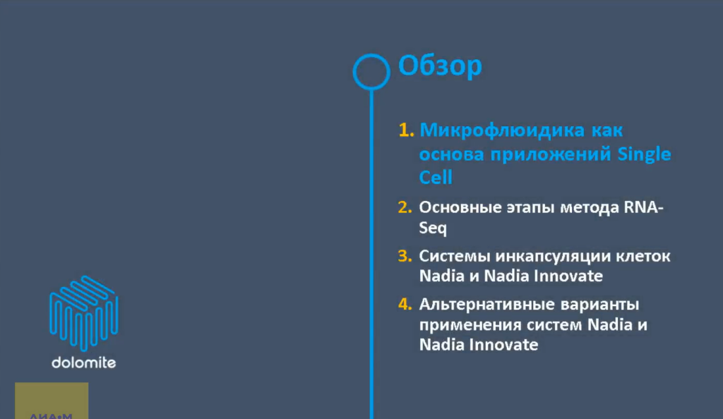 Обзор