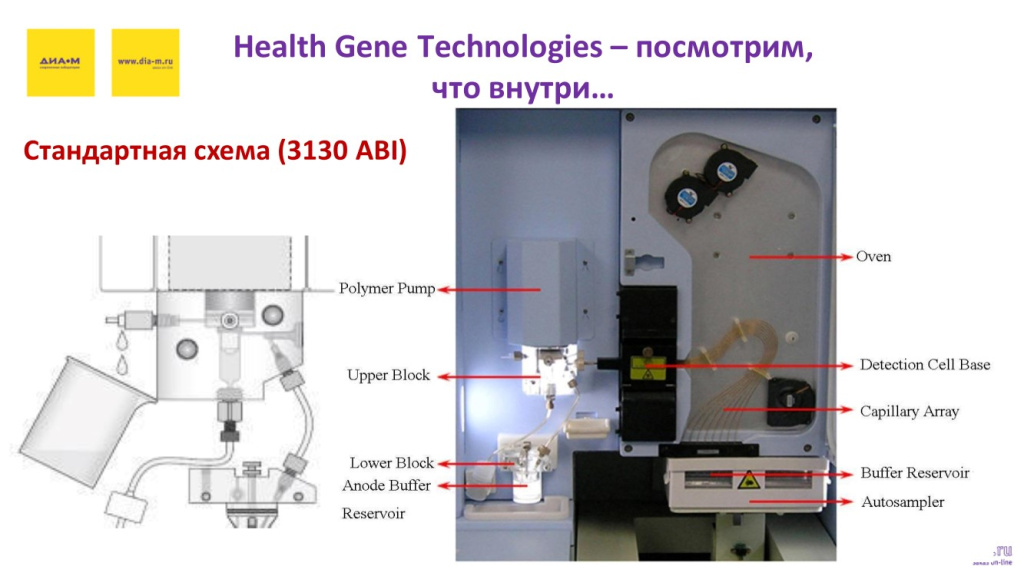 Health Gene Technologies - посмотрим что внутри...