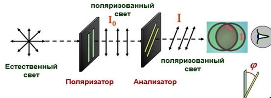 Взаимное расположение плоскостей поляризатора и анализатора.