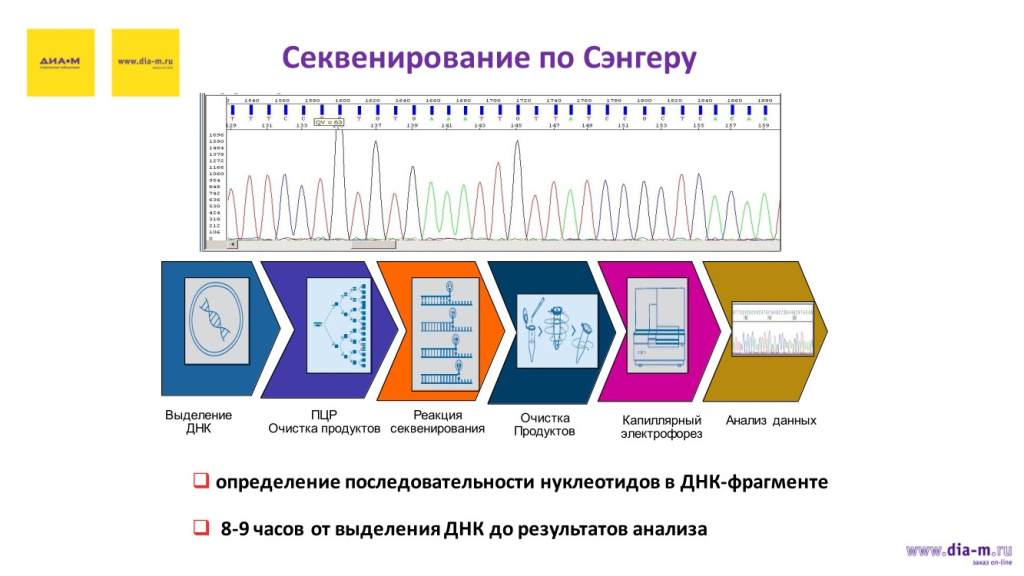 Секвенирование по Сэнгеру
