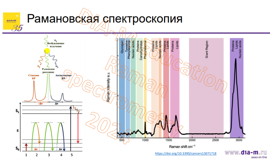 Раман-спектроскопия для клеточного анализа