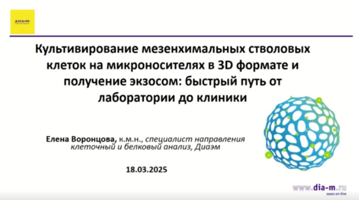Комплексное решение для культивирования МСК