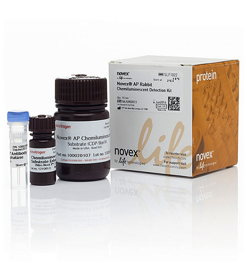 Набор реагентов Novex AP Rabbit для хемилюминесцентной детекции, со вторичными антителами к антителам кролика, 1 набор