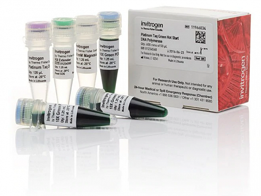 ДНК-полимераза Platinum Taq Green Hot Start DNA Polymerase