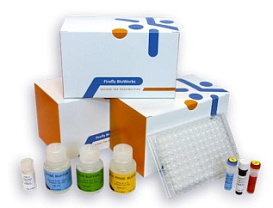 Панель для профилирования ми-РНК, Multiplex miRNA Assay Breast Cancer Panel - Cellular