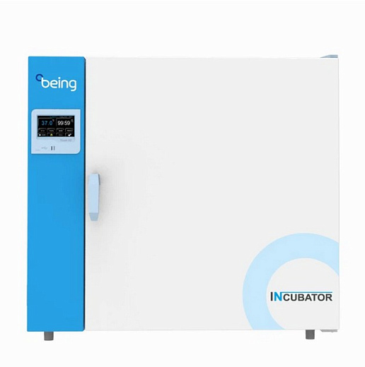 Термостат, до +80 °С, 35 л, камера из нержавеющей стали, touch screen контроллер, принудительная вентиляция, Being, Китай