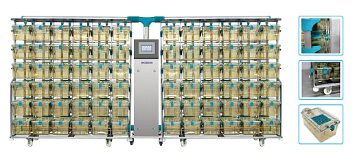 Система для морских свинок и кроликов