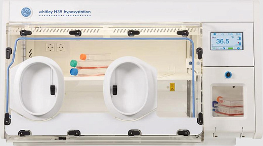 Клеточная станция для создания условий гипоксии, 300 л, H35, Don Whitley Scientific