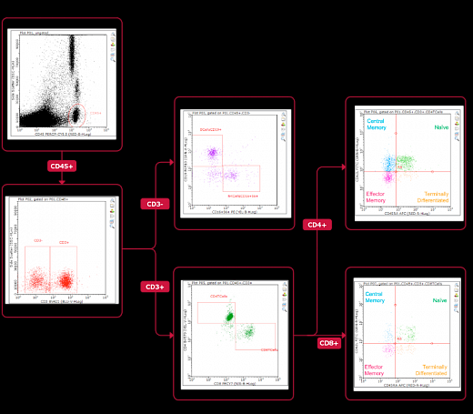 Проточный цитофлуориметр, до 3 лазеров, до 12 флуоресцентных параметров, Guava easyCyte Фото 5