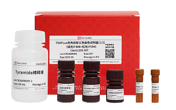 Набор для двойного флуоресцентного окрашивания (IF488 + Red iF594) TSAPLus, Servicebio, Китай