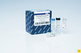 Набор QuantiTect Virus +ROX Vial Kit