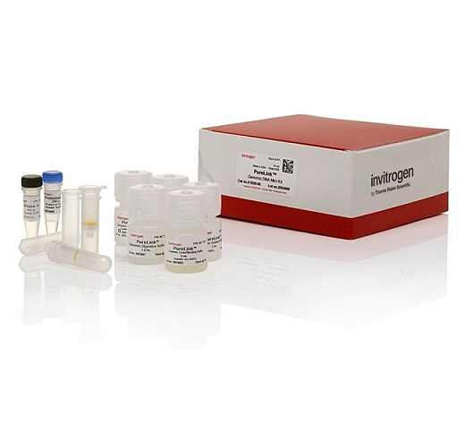 Набор PureLink Genomic DNA Mini Kit, Thermo FS