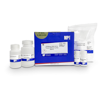Арт. 116542050 Набор для выделения РНК из тканей (без лизирующего матрикса), SPINeasy RNA Kit for Tissue (Without Lysing Matrix), 50 выделений, MP Biomedicals