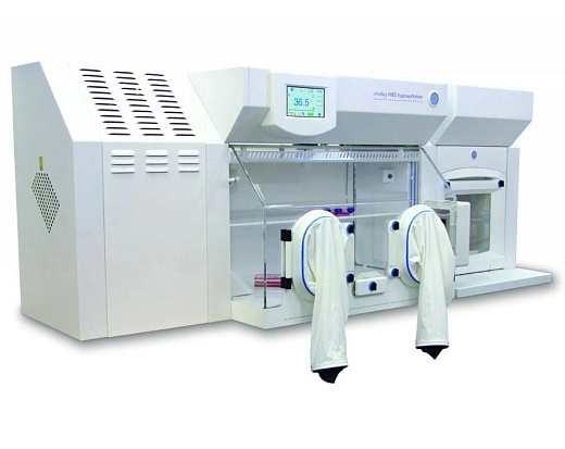 Клеточная станция для создания условий гипоксии, 295 л, H85, общий вид