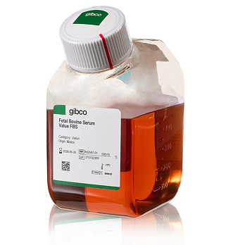 Сыворотка эмбриональная бычья (FBS) value, Gibco, (qualified, Бразилия), 500 мл, Thermo Fisher