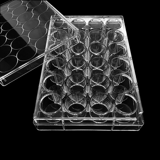 Планшеты культуральные 6 – 96-лун., необработанная поверхность, Servicebio, Китай