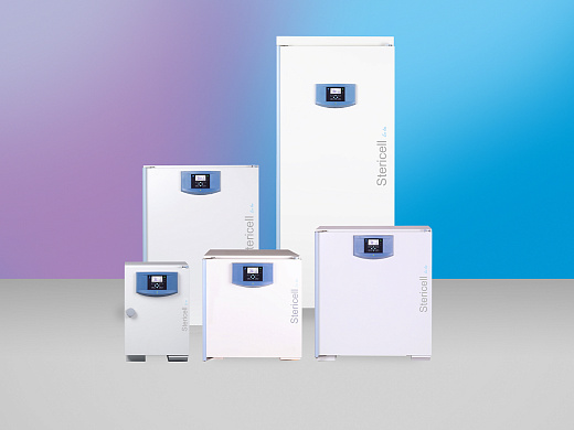 Стерилизатор суховоздушный 22 л, до 250 °С, принудительная вентиляция, ECO line, Venticell 22 eco