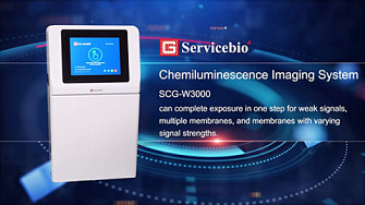 Видеообзор хемидокументирующей системы SCG-W3000, Servicebio, Китай, англ., 2026 г.