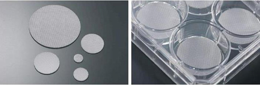 Планшеты культуральные 6-ти луночные со скаффолдом для 3D культивирования, 3DCellSCAFLD 1 уп./8 шт., Jet Biofil