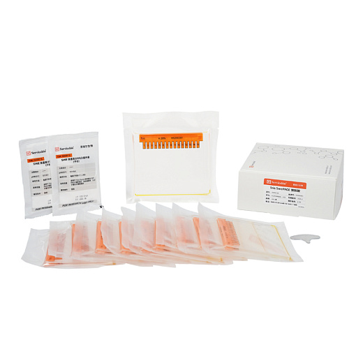 Гель для электрофореза белков полиакриламидный готовый Tris Swe Page Pre-Cast Gel, 15 лунок, 4-20%, Servicebio, Китай